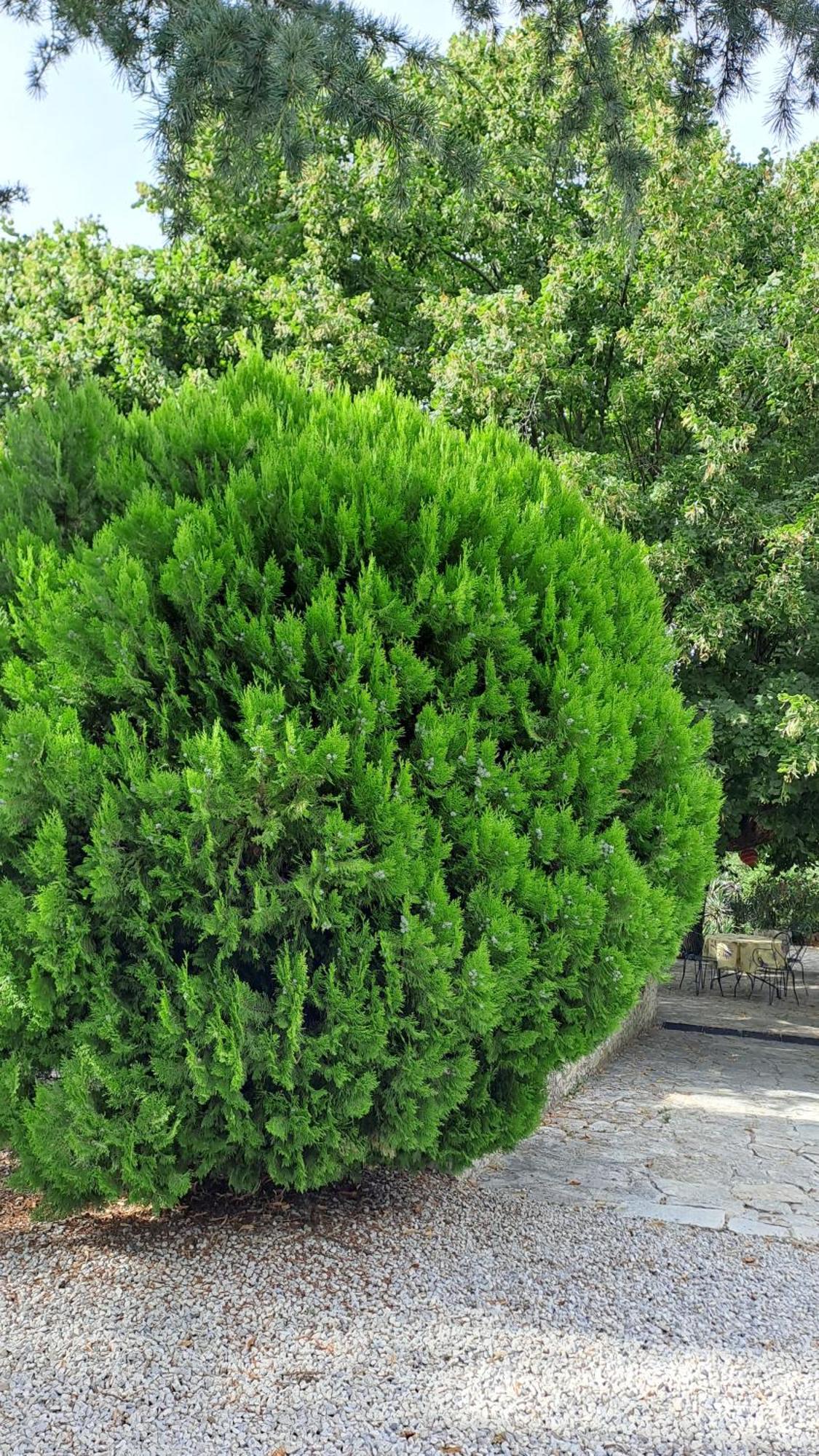 Le Gite Calluna Sablet Kültér fotó